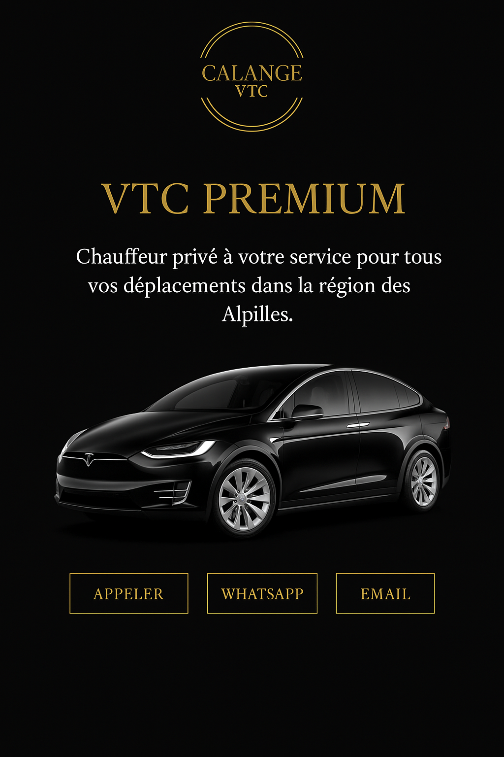 Tesla Model X – CALANGE VTC Premium